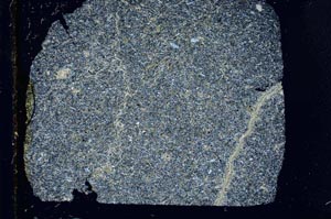 Cross Polarized, S31680