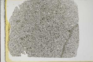 Plane Polarized, S31680