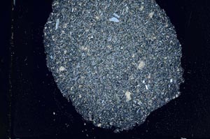 Cross Polarized, S31681