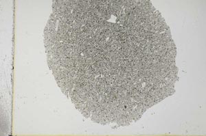 Plane Polarized, S31681