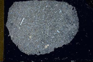 Cross Polarized, S31682