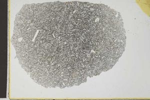 Plane Polarized, S31682