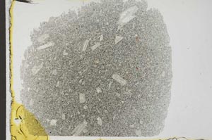 Plane Polarized, S31683