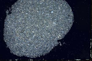 Cross Polarized, S31684