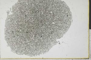 Plane Polarized, S31684