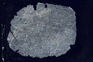 Cross Polarized, S31685