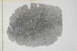 Plane Polarized, S31685