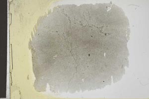 Plane Polarized, S31687