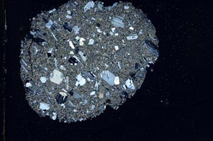 Cross Polarized, S31688