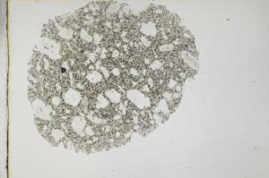 Plane Polarized, S31688