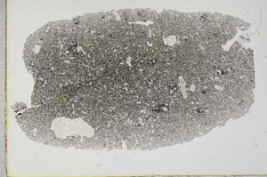 Plane Polarized, S31710