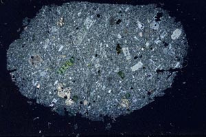 Cross Polarized, S31714