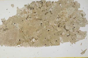 Plane Polarized, S31715