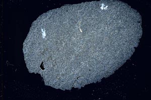 Cross Polarized, S31716