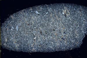 Cross Polarized, S31717