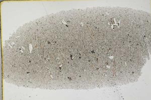 Plane Polarized, S31717