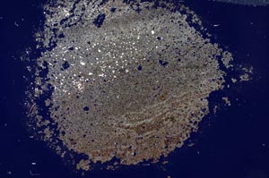 Cross Polarized, S31720