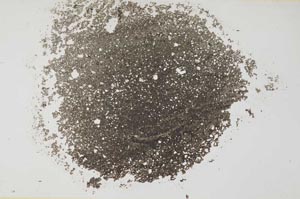 Plane Polarized, S31720