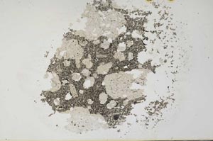 Plane Polarized, S31721