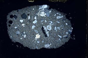 Cross Polarized, S31724