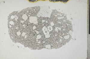 Plane Polarized, S31724