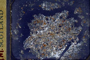 Cross Polarized, S31729