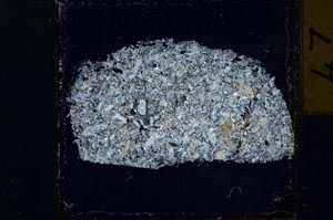 Cross Polarized, S31731