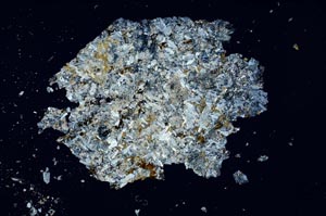 Cross Polarized, S31733