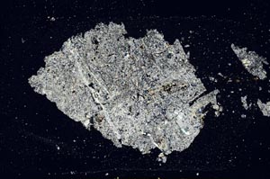 Cross Polarized, S31735