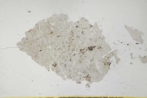 Plane Polarized, S31735