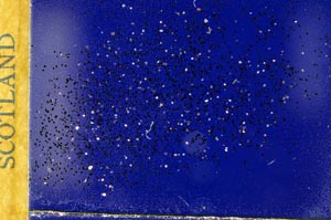 Cross Polarized, S31736