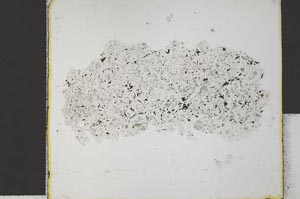 Plane Polarized, S31739