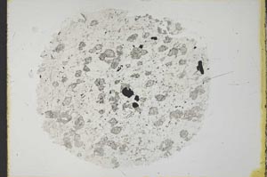 Plane Polarized, S31740