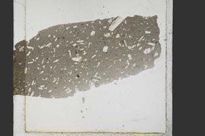 Plane Polarized, S31755
