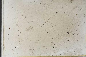 Plane Polarized, S31761