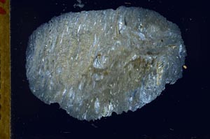 Cross Polarized, S31762