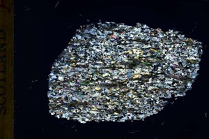 Cross Polarized, S31764