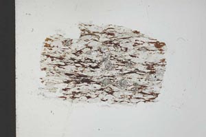 Plane Polarized, S31773