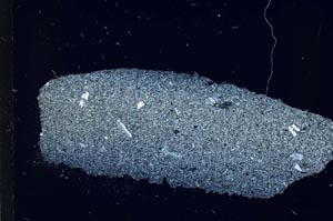 Cross Polarized, S31795