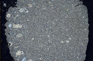 Cross Polarized, S31796