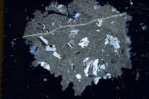 Cross Polarized, S31798