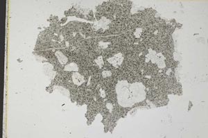 Plane Polarized, S31798