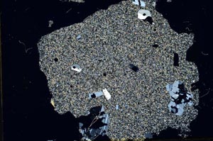 Cross Polarized, S31799