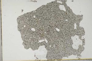 Plane Polarized, S31799