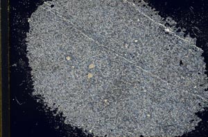 Cross Polarized, S31800