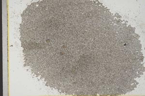 Plane Polarized, S31800