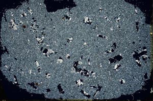 Cross Polarized, S31803