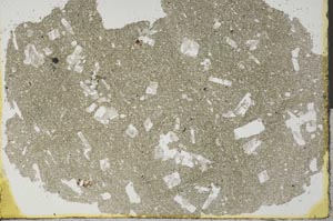 Plane Polarized, S31803