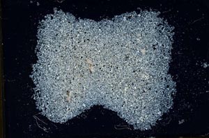 Cross Polarized, S31804