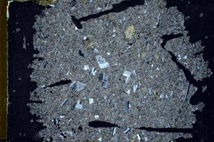 Cross Polarized, S31810